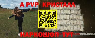 стафф Донской