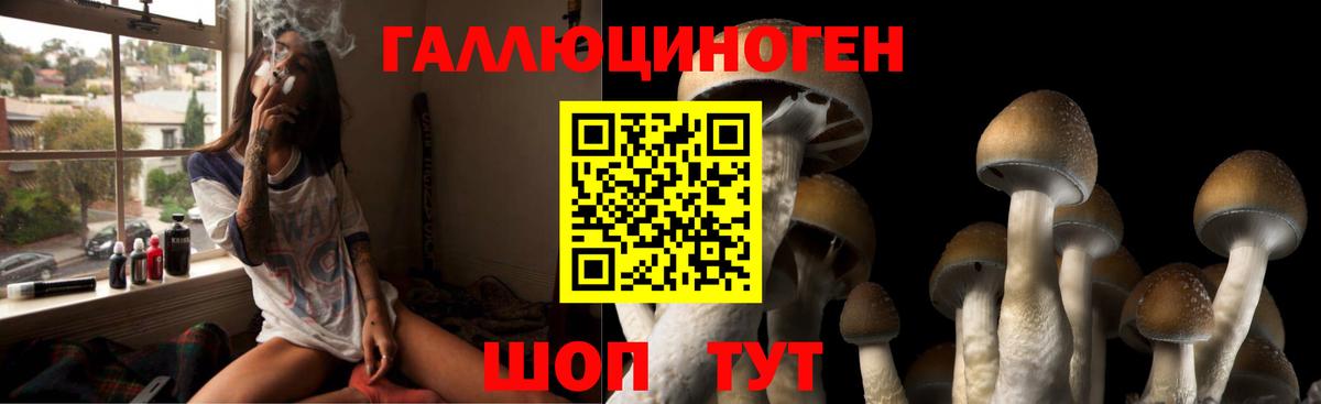 Псилоцибиновые грибы Psilocybe  Вход с VPN  Михайловка 